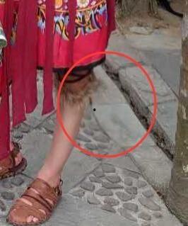 吃瓜群众娱乐大表姐,吃瓜群众眼中的娱乐圈风云变幻