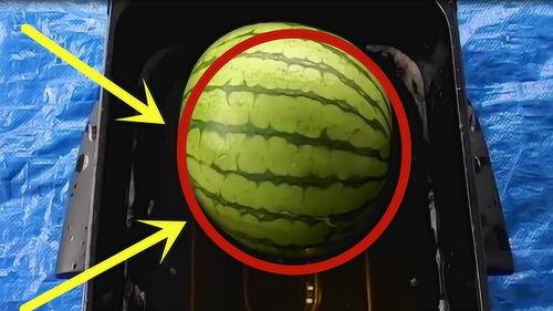 暗黑吃瓜官网入口免费观看