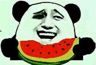 娱乐圈吃瓜群众是谁啊,揭秘那些热衷于八卦的明星粉丝群体